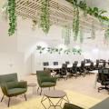 Office - Income @ Raffles | Product Seen: [SkyForest Planter, Cornelius Lounger, Zola Coffee Table – Walnut & Riku Midback Office Chair]